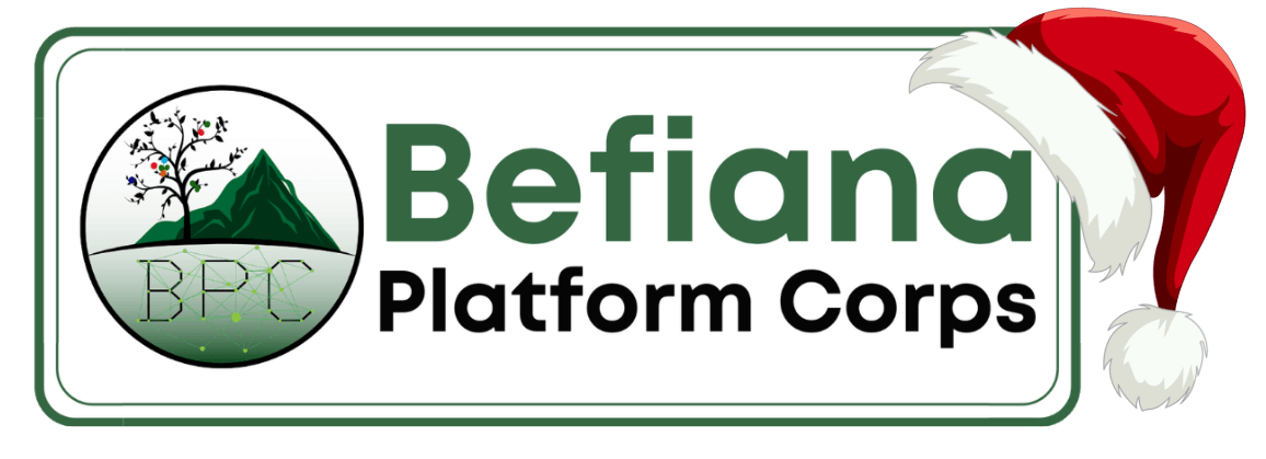 Befiana Platform Corps - NOEL LOGO